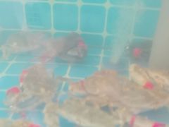-锅老头铁锅炖•大锅蒸汽海鲜(韩乐坊店)