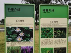 -两河城市森林公园