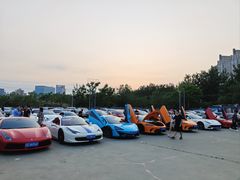 -枫花园汽车电影院(朝阳公园店)