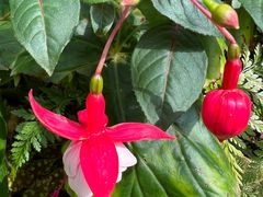 -国家植物园南园