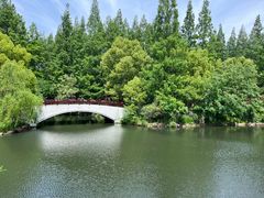 -东平国家森林公园