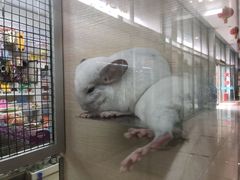 -三旗百汇商品城