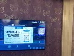 -佰迪乐KTV·大屏K歌(公园店)