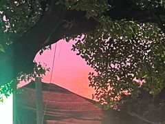 -王借岗森林公园