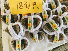-大湾区中央湿地公园-十九涌