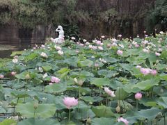 -广州莲花山旅游区
