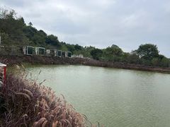 -南丹山森林王国