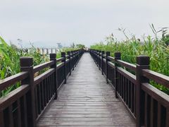 -芒洲湿地公园