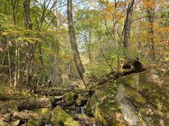 -五女峰国家森林公园