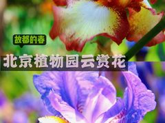 -国家植物园
