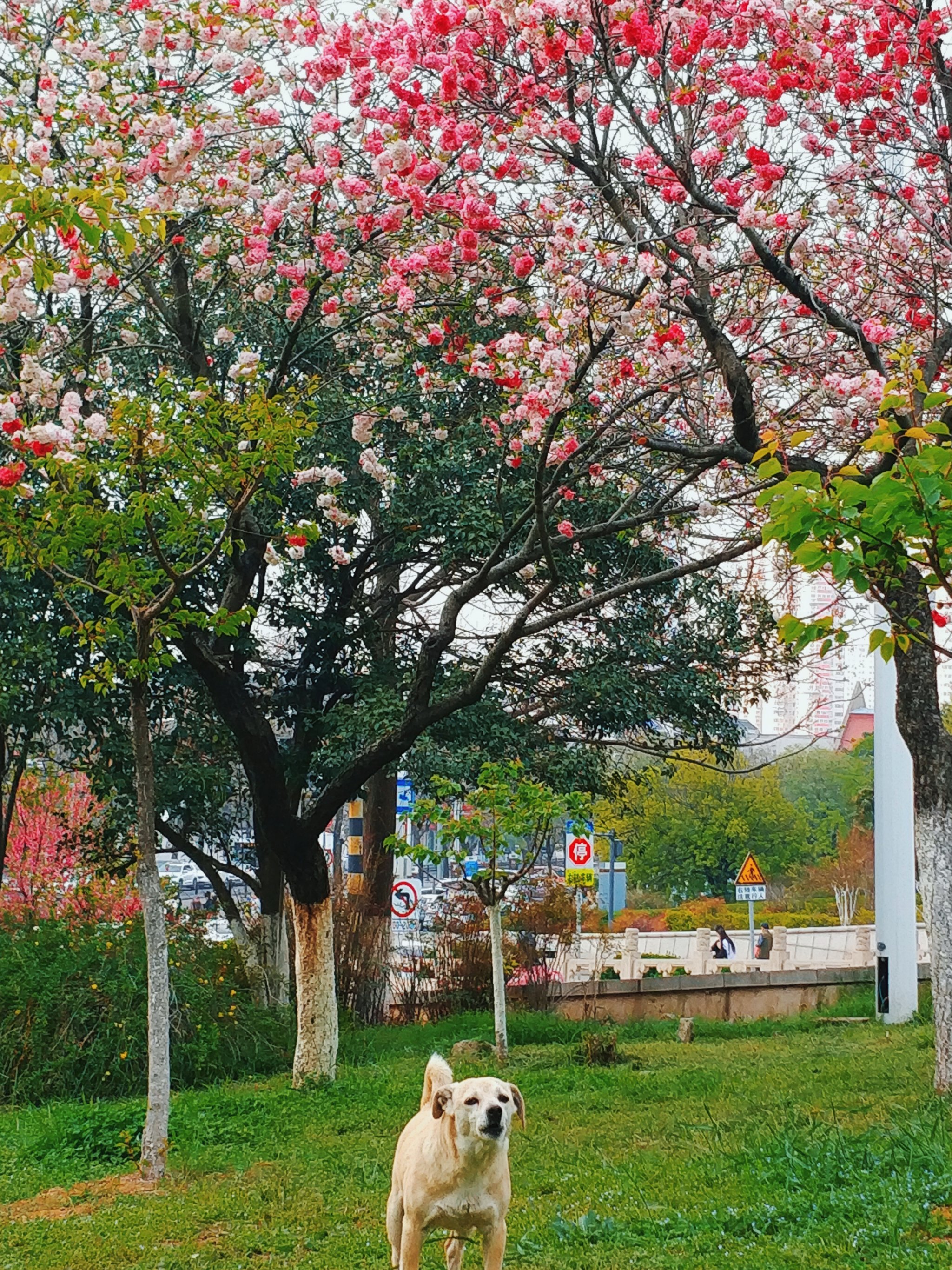 云龙山隧道简介图片