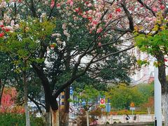 -云龙湖旅游景区