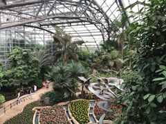 -南山植物园