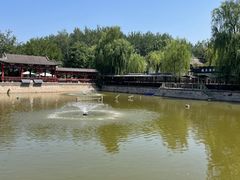 -尚庄度假村·庭台树下·户外烧烤·团建CS·轰趴营地(上庄水库店)