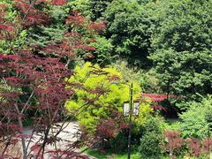 -广州市帽峰山景区
