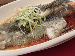 油浸海斑鱼-宋园·金宴浙鲜馆(静安店)