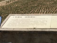 -汉长安城未央宫国家考古遗址公园