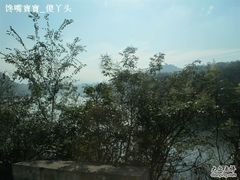 IMG_0075-红星坪温泉精品酒店