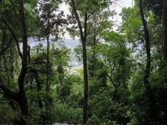 -火炉山森林公园