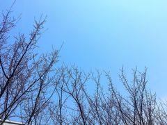 三食堂侧边-江南大学(蠡湖校区)