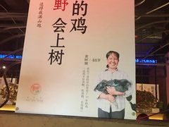 -桂小厨广西菜(青秀万达店)