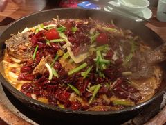 -老板恋上鱼(恒隆广场店)