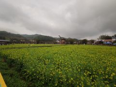 -红山村