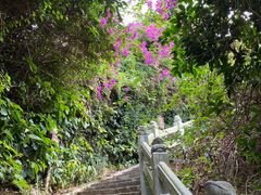 -海南分界洲岛旅游区