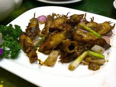 -瑞记湛江鸡饭店·粤西第一鸡(粤垦店)