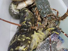 -班赞海鲜市场