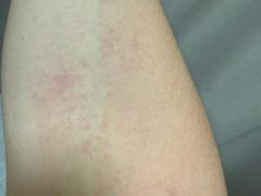 -将军关探险漂流