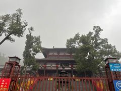 -潜山国家森林公园