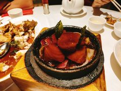 石锅烹银鳕鱼-玫瑰厅上海菜(兴国路店)