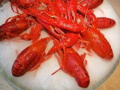 -红盔甲·小龙虾(车公庙店)