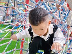-草根堂农场