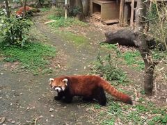 -柳州市动物园