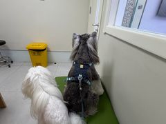 -达爱动物医院·犬猫分区·CT·复杂眼科(远洋山水分院)