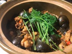 -食爺炭炉鸡煲·烧烤