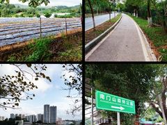 -凤岗南门山森林公园