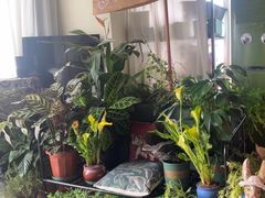 -Thai Basil罗勒叶泰式餐厅(时代天街店)