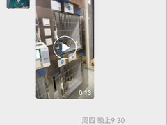 -北京派仕佳德动物医院·超导核磁·CT·神经科·骨科·内外科·急重症管理中心