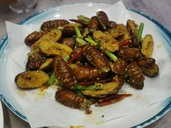 -小海丁