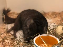 -龙猫仔乐园(惠福东路店)