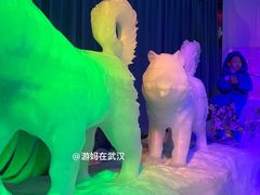 -海合安武汉极地海洋公园
