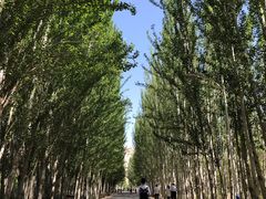 -拜城克孜尔千佛洞-售票处