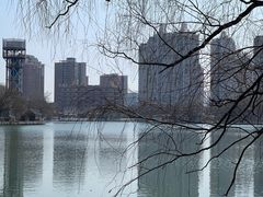 -朝阳公园