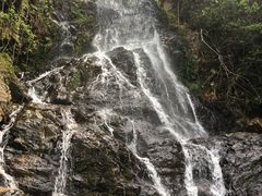 -江西阳明山国家森林公园