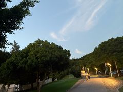 -杨梅坑