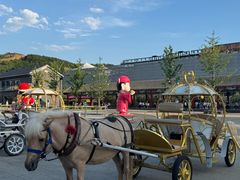 -鼎盛王朝康熙大典实景演出