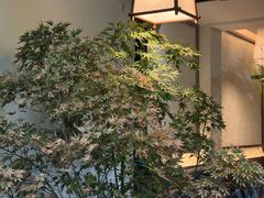 -汤宴·参须肚包鸡(南京路店)